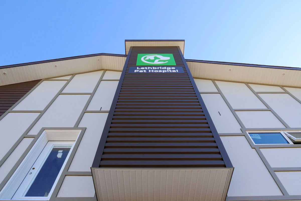 Box Rib Panels (36" Coverage) steel panels on a building